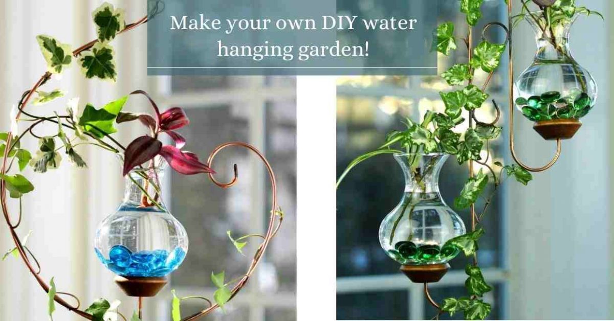hanging water garden