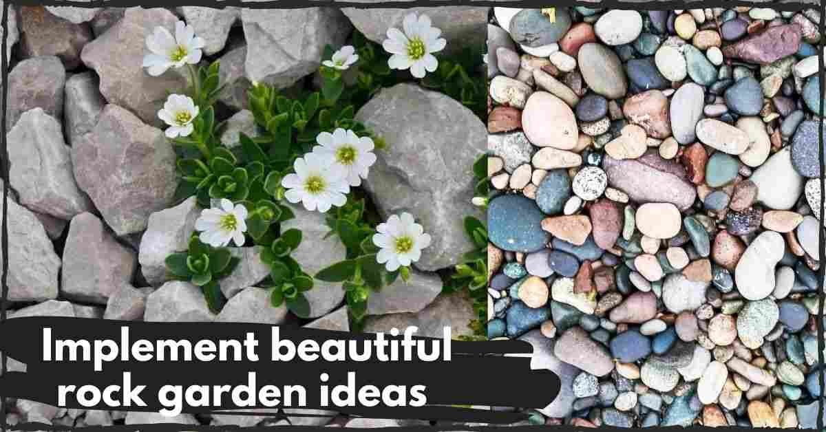 rock garden ideas for front yard
