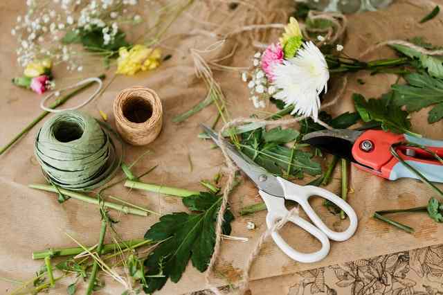 how to prune roses after they bloom